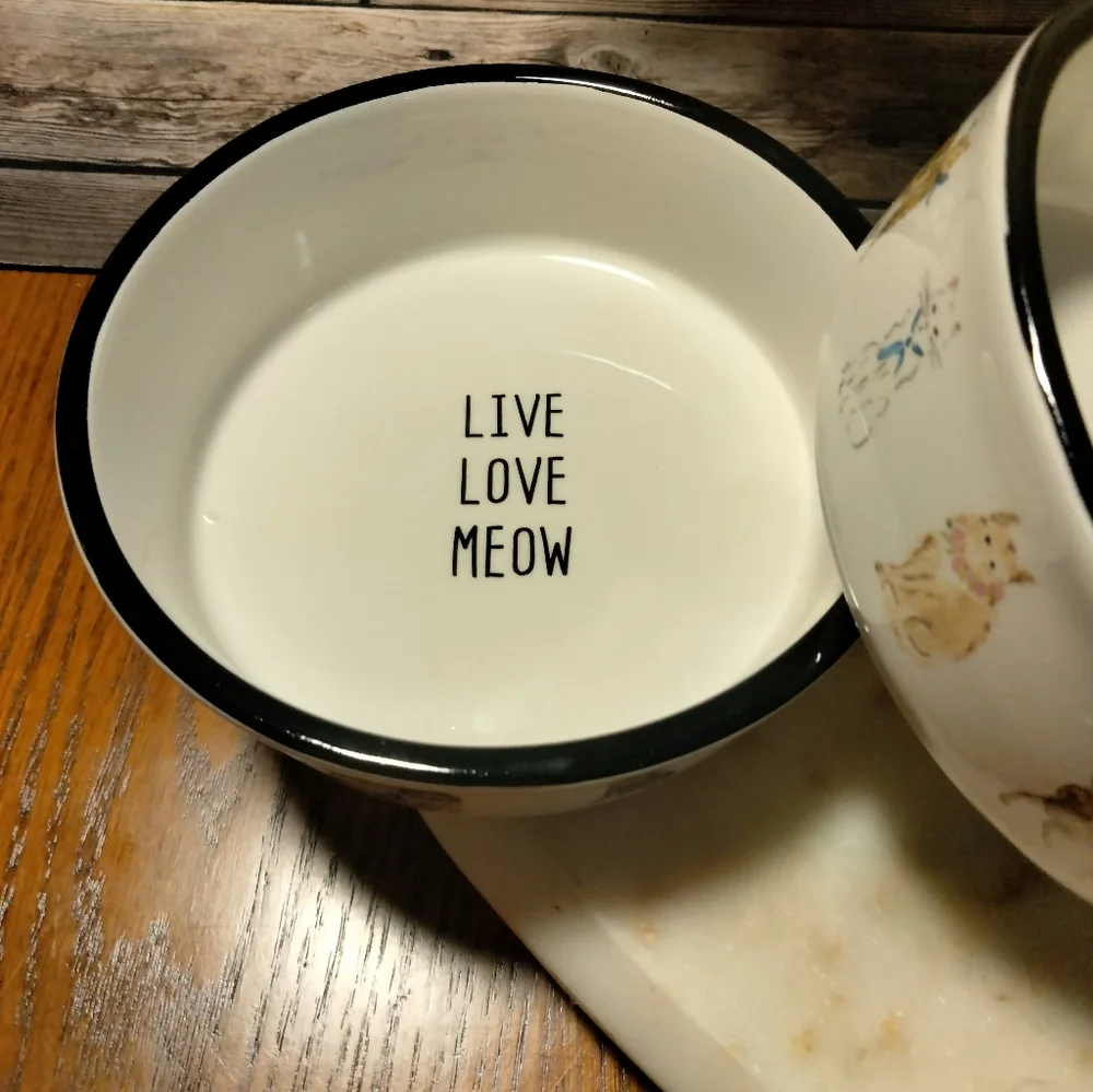 Cat ceramic bowls (2)